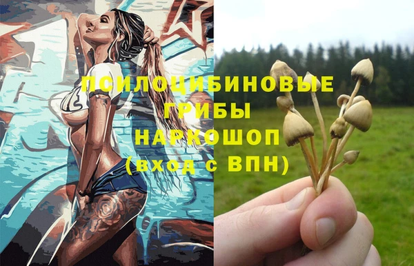 скорость Мегион